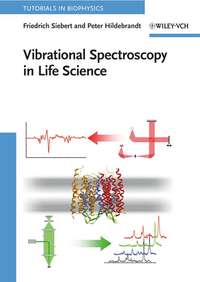 Vibrational Spectroscopy in Life Science