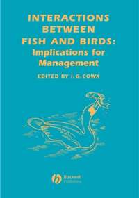 Interactions Between Fish and Birds