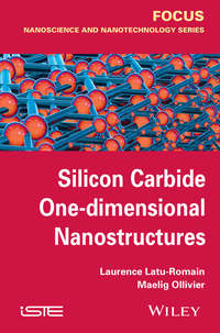 Silicon Carbide One-dimensional Nanostructures