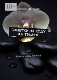 Заметки на ходу и в тишине. Понять, чтобы принять