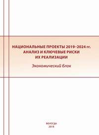 Национальные проекты 2019–2024 гг. Анализ и ключевые риски их реализации. Экономический блок