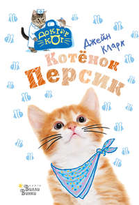 Котёнок Персик