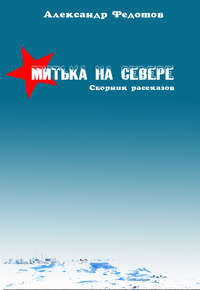 Митька на севере (сборник)