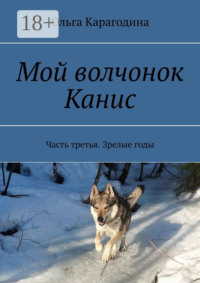 Мой волчонок Канис. Часть третья. Зрелые годы