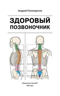 Здоровый позвоночник