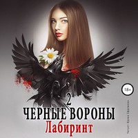 Черные вороны 2. Лабиринт