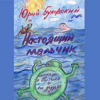 Настоящий мальчик. Рассказы о Ростике и его друзьях