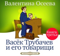 Васек Трубачев и его товарищи. Книга третья