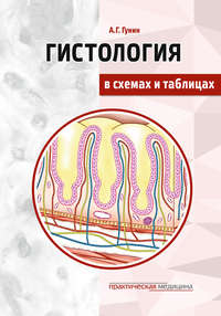 Гистология в схемах и таблицах