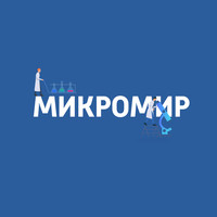 Вирус: как попадает в клетку человека и как работает противовирусный препарат