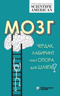 Мозг. Чердак, лабиринт или опора для шляпы?