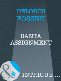 Santa Assignment