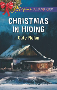 Christmas In Hiding