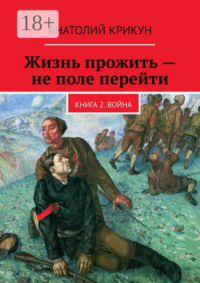 Жизнь прожить – не поле перейти. Книга 2. Война