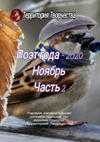 Поэт года – 2020. Ноябрь. Часть 2. Первая литературная онлайн-премия по версии группы Территория Творчества