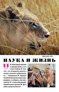 Наука и жизнь №11/2013