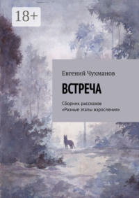 Встреча. Сборник рассказов «Разные этапы взросления»