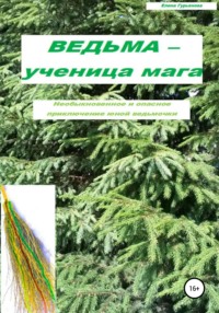 Ведьма – ученица мага