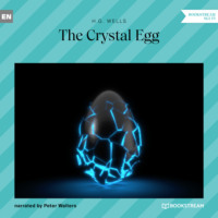 The Crystal Egg (Unabridged)