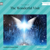 The Wonderful Visit (Unabridged)