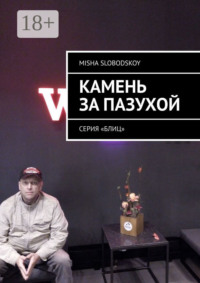 Камень за пазухой. Серия «Блиц»