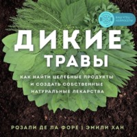 Дикие травы. Как найти целебные продукты и создать собственные натуральные лекарства