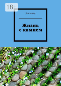 Жизнь с камнем