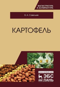 Картофель