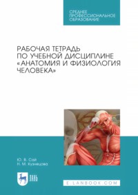 Рабочая тетрадь по учебной дисциплине «Анатомия и физиология человека». Учебное пособие для СПО