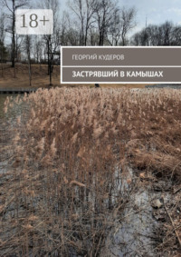 Застрявший в камышах