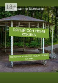 Пятый сон Мони Кокина. Зарисовки из жизни подростковой шпаны