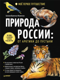 Природа России: от Арктики до пустыни. Моё первое путешествие