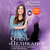 Отель «Пеликан»