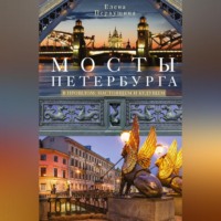 Мосты Петербурга. В прошлом, настоящем и будущем