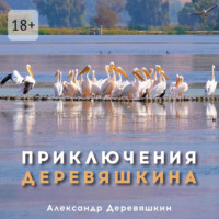 Приключения Деревяшкина