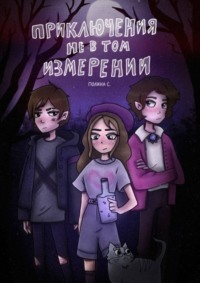 Приключения не в том измерении