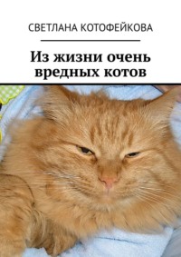 Из жизни очень вредных котов