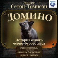 Домино. История одного черно-бурого лиса (спектакль)