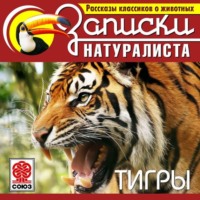 Рассказы классиков о животных. Тигры