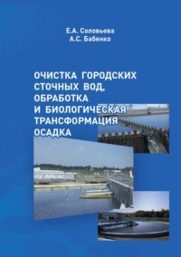 Очистка городских сточных вод, обработка и биологическая трансформация осадка