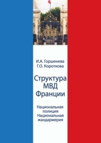 Структура МВД Франции. Национальная полиция и Национальная жандармерия. Схемы и комментарии