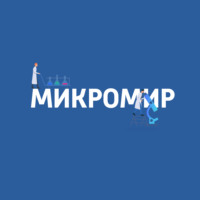 Микромир