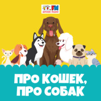 Про кошек, про собак