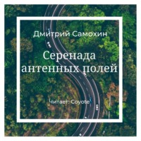 Серенада антенных полей