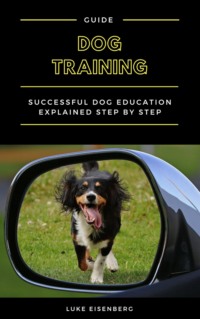 Dog Training