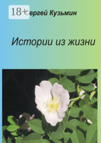 Истории из жизни
