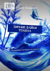 Зимние байки Толяна. Правдивые истории из жизни