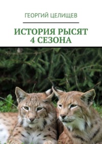 История рысят. 4 сезона