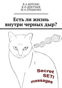 Есть ли жизнь внутри черных дыр?