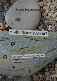 О чём поют камни? Три дружбы одного Камушка